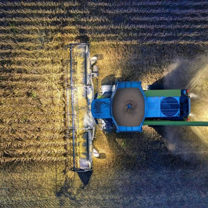 secteur agricole